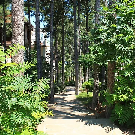 Appart hôtel Dreambg 3*