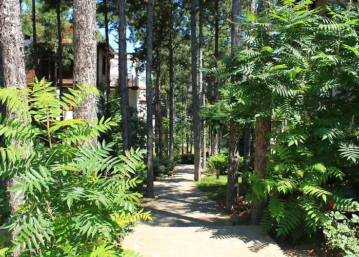 Lejlighedshotel Dreambg 3*